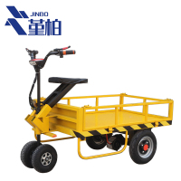 堇柏 电动平板车 倒骑 个