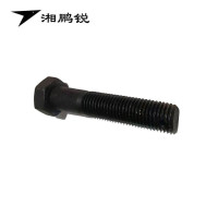 湘鹏锐 六角头杆孔螺栓 GB31.1 M20*100 个
