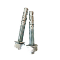 vzi 蓝白锌车修壁虎螺丝 M10×130(P1.5)40个 包