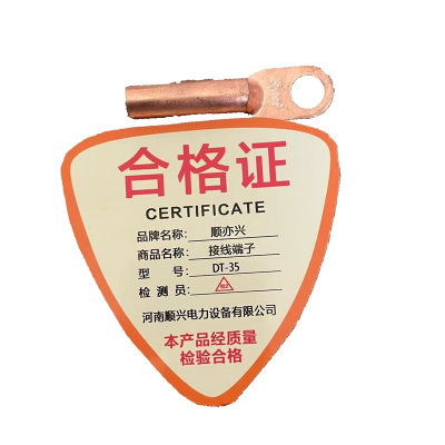 顺亦兴 接线端子DT-35/个