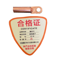 顺亦兴 接线端子DT-50/个