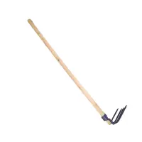 菁普华四齿耙个