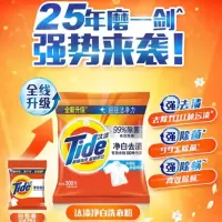 汰渍 洗衣粉 508g