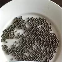 宏炜志腾 铸钢丸 1.7mm 千克