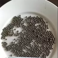 宏炜志腾 铸钢丸 0.8mm 千克