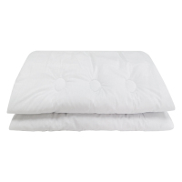 丽绣坊 一级棉胎褥+外套 185*58CM