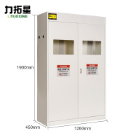 力拓星 气瓶柜 1200*450*1900mm 台