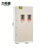 力拓星 气瓶柜 双瓶 台