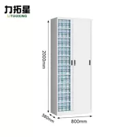 力拓星 凭证柜 文件柜 十层 台