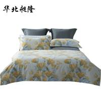 华北昶隆 床上用品四件套 200x230cm 套