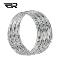 BR/镀锌铁丝/18号/kg