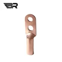 BR/铜线鼻子/BR-DTS-16/个