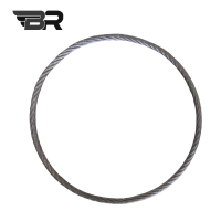BR 无接头不锈钢圈绳 直径6*1米(周长) 根