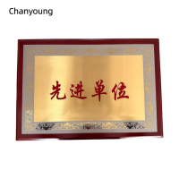 晨洋(Chanyoung)可定制奖牌摆件 HYBG016 块