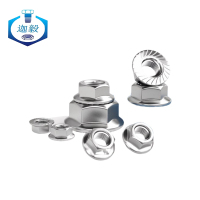 迦毅不锈钢法兰螺母M12个