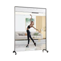 晨洋体育(ChenyangTY) 体育场更衣镜 CYTY-164 块