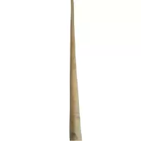 旭升白白腊杆160cm小头直径2.8cm根
