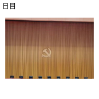 日目 窗帘舞台/会议室幕布DY-CL68平方米