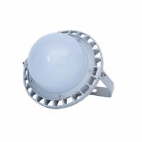 ZHEGUANRONG/浙冠荣免维护led工厂灯GRD9189A-100W 个