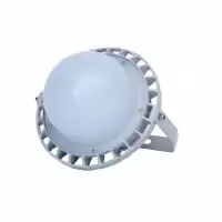 ZHEGUANRONG/浙冠荣免维护led工厂灯GRD9189A-100W 个