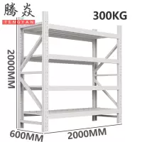 腾焱货架中型组