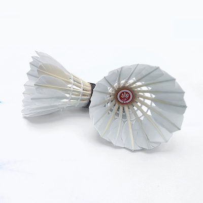 虔羽羽毛球R3 桶