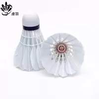 虔羽羽毛球R7 桶