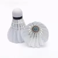 虔羽羽毛球R6 桶