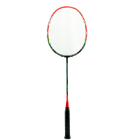 虔羽羽毛球拍 T55/支