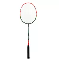 虔羽羽毛球拍 T55/支