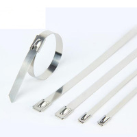 鲁源仕通不锈钢滚珠扎带10*800mm根