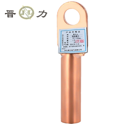 晋力+ 铜线鼻子+DT-120mm+个