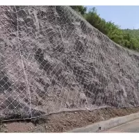 常品 主动防护网 可定制 平方米