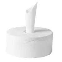 岱润 大盘纸 中心抽取式12盘 箱