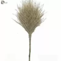 岱润 扫帚 一体 把