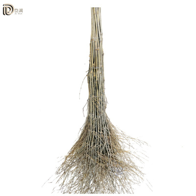 岱润 扫帚 小号 把