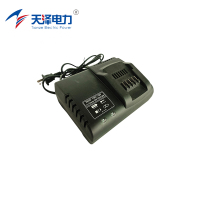 天泽电力 充电器 LBC-185 件