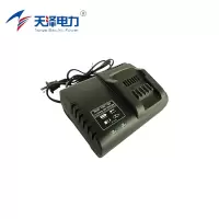 天泽电力 充电器 LBC-185 件