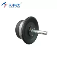 天泽电力 车梯辅助轮 5.21.72306.10102 个