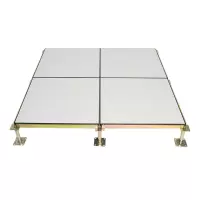 贝策 静电地板 600*600*40mm 块