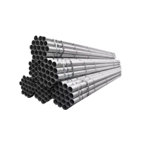 贝策 钢管 DN40 根