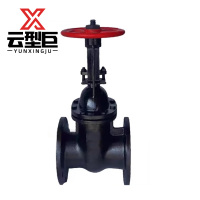 云型巨 铸铁法兰闸阀 Z45T-16明杆DN200 个