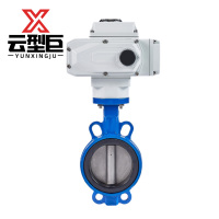 云型巨 电动对夹蝶阀 D971X-16/DN125 个