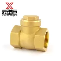 云型巨 铜卧式止回阀 DN15 个