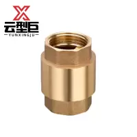 云型巨 铜立式止回阀单向阀 DN40 个