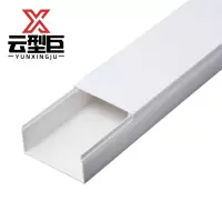 云型巨 PVC线槽 100*50mm 米