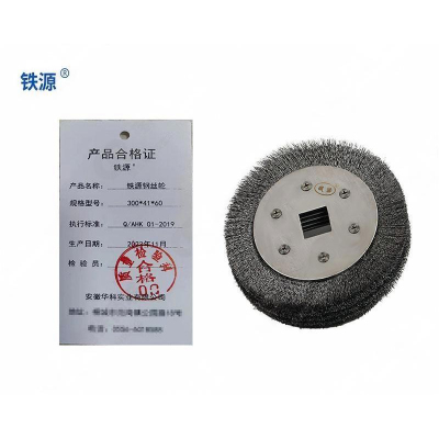 铁源钢丝轮300*41*60mm 只