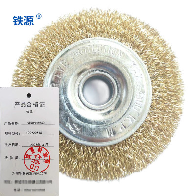 铁源钢丝轮100*20*16 只