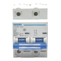 赛驰科技(SAICKG) SCK5WZ-125/2 2P C125 低压智能空气开关 低压小型断路器(台)