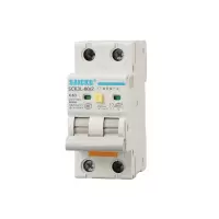 赛驰科技(SAICKG) SCK3L-80/2 2P C63 低压漏保空气开关 (单位台) 灰白